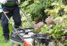 How to Mow Your Lawn Like a Pro lawn mowing