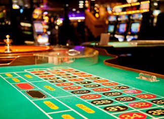 Why Cricketbet99 is Becoming the Go-To Spot for Cricket Fans Cricketbet99